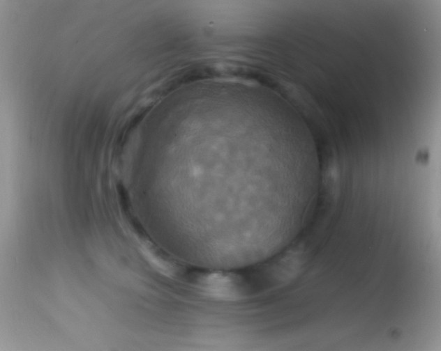 X0000114640566200910201445