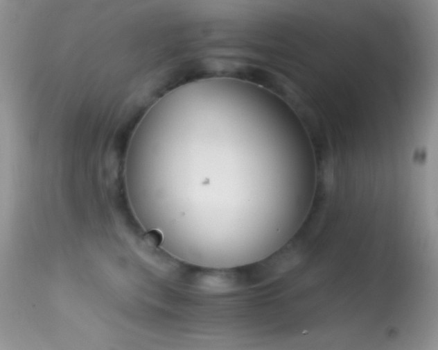 X0000114640567200910201445