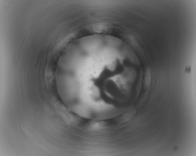 X0000114640569200910201445