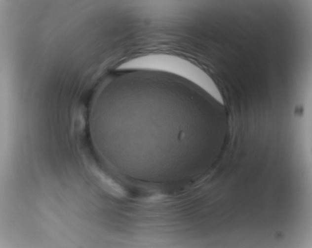 X0000114640570200910201445
