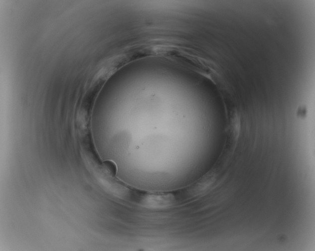 X0000114640571200910201445