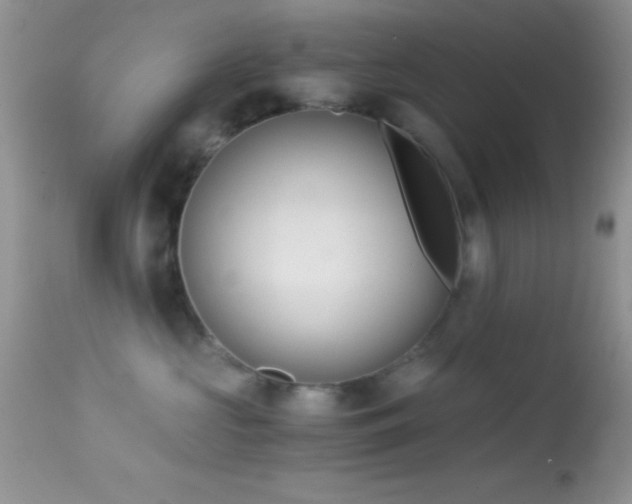 X0000114640573200910201445