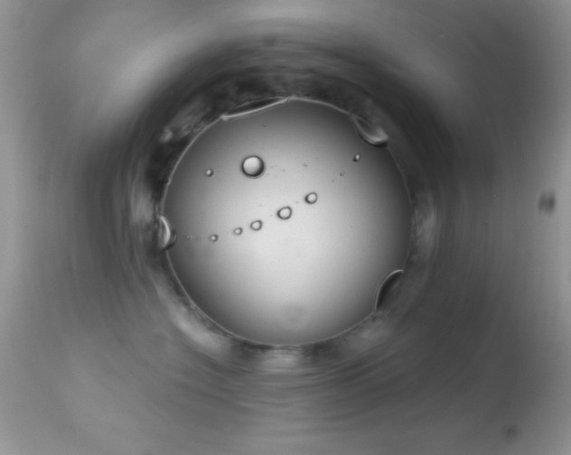 X0000114640574200910201445
