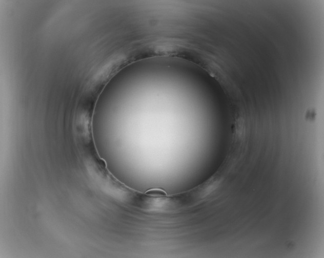 X0000114640575200910201445