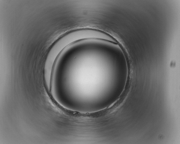 X0000114640577200910201445