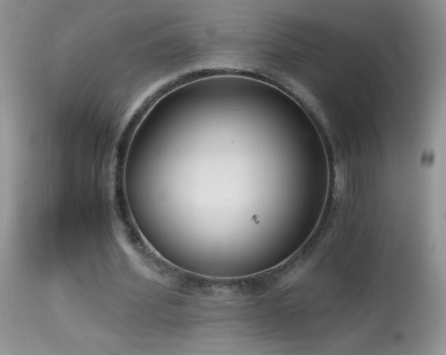 X0000114640580200910201445