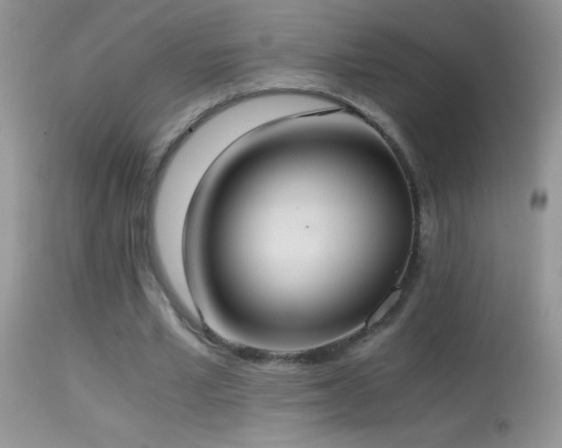 X0000114640581200910201445