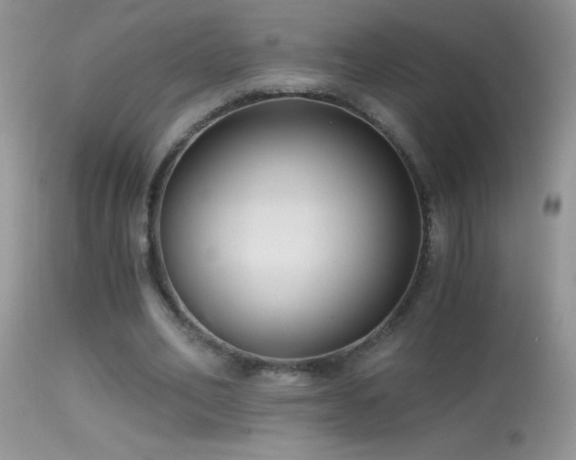 X0000114640582200910201445