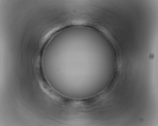 X0000114640583200910201445