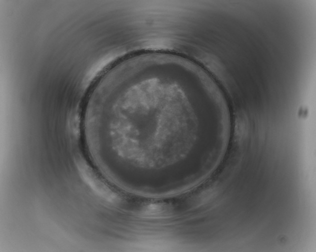 X0000114640584200910201445