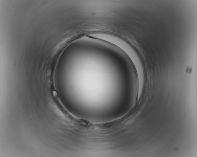 X0000114640585200910201444