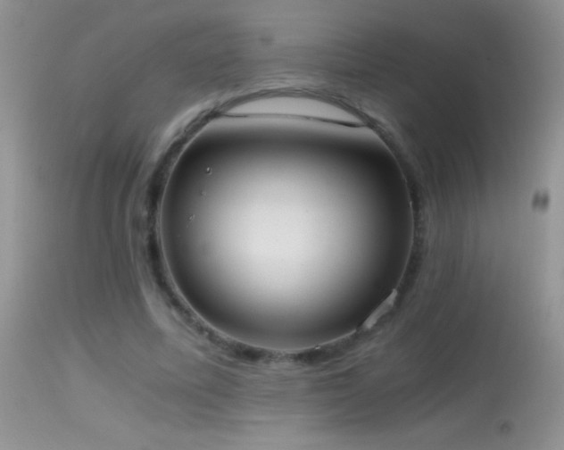 X0000114640587200910201444