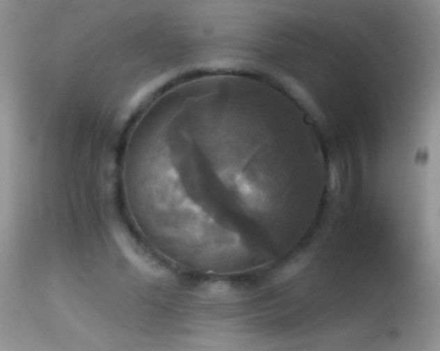 X0000114640588200910201444