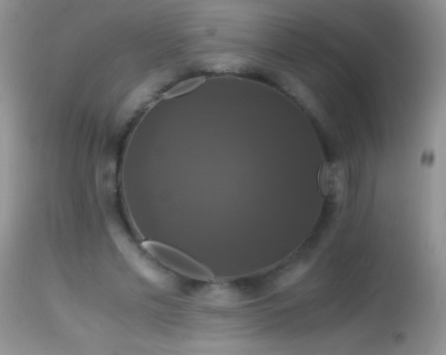 X0000114640589200910201444