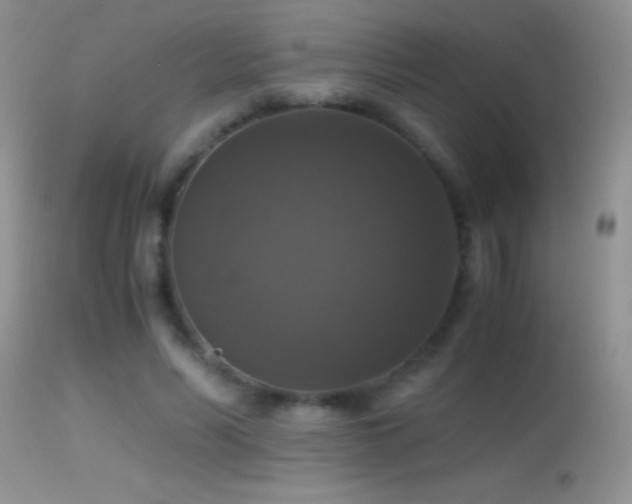 X0000114640590200910201444