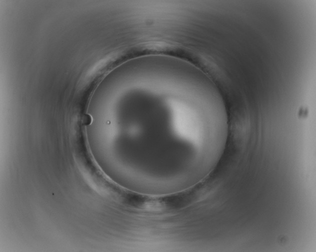 X0000114640591200910201444