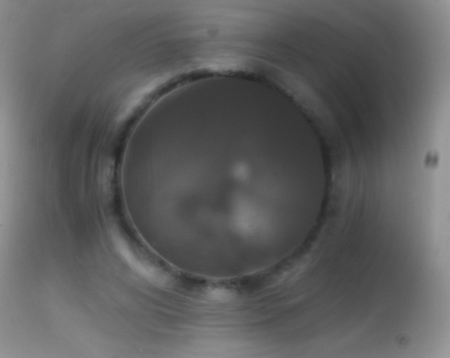 X0000114640592200910201444