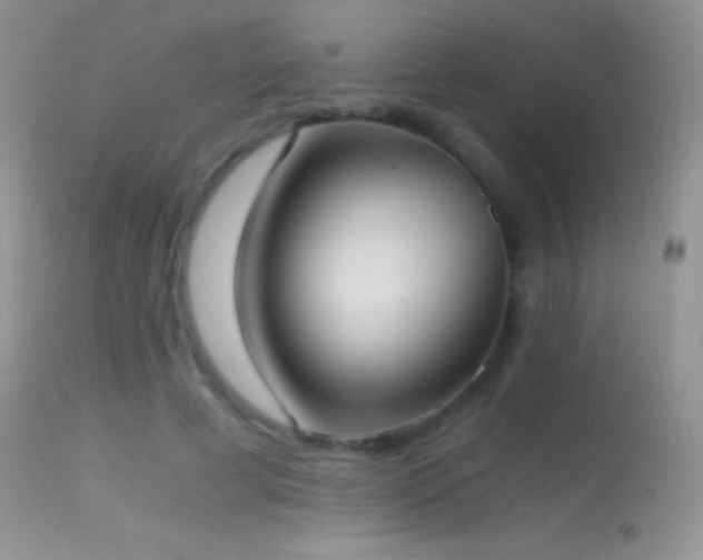 X0000114640593200910201444