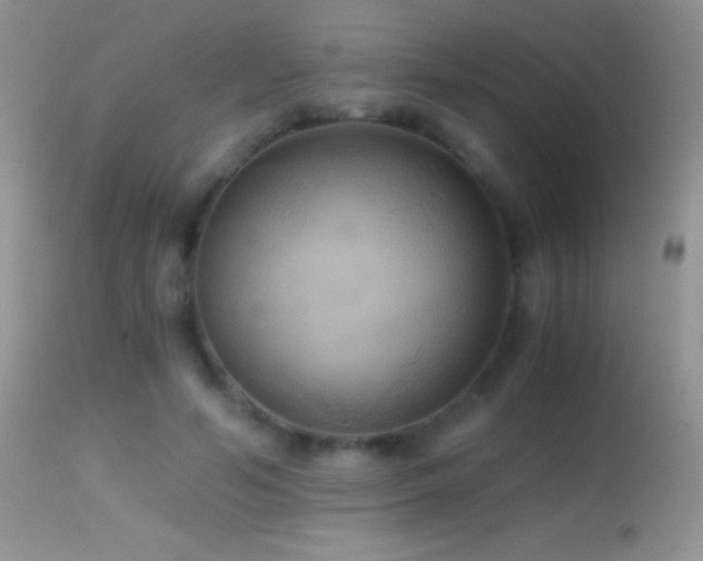 X0000114640594200910201444