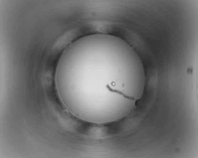 X0000114640595200910201444
