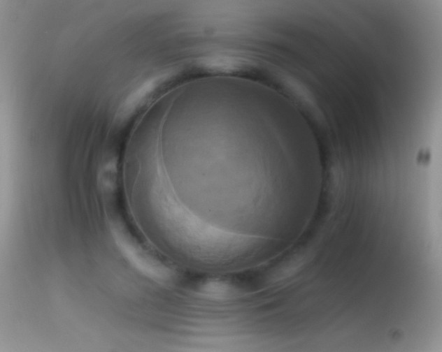 X0000114640596200910201444