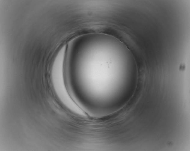X0000114640597200910201444