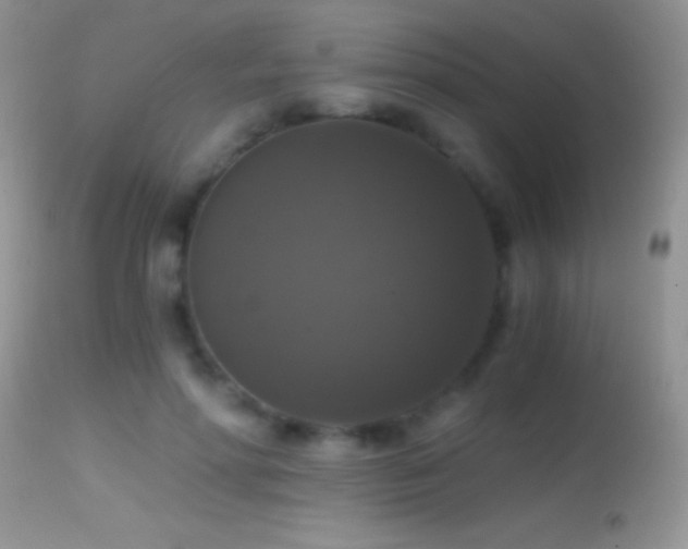 X0000114640598200910201444