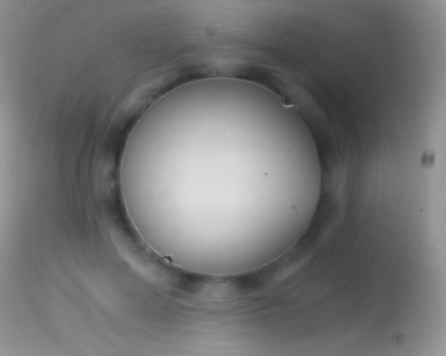 X0000114640599200910201444