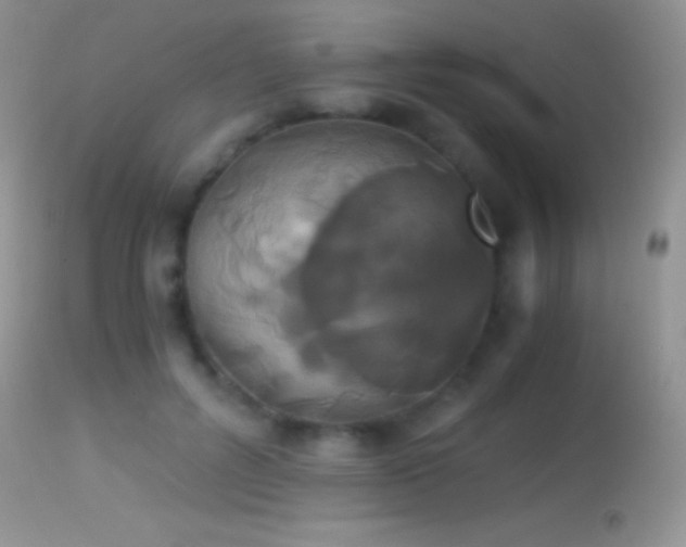 X0000114640600200910201444