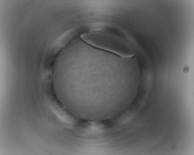 X0000114640601200910201444