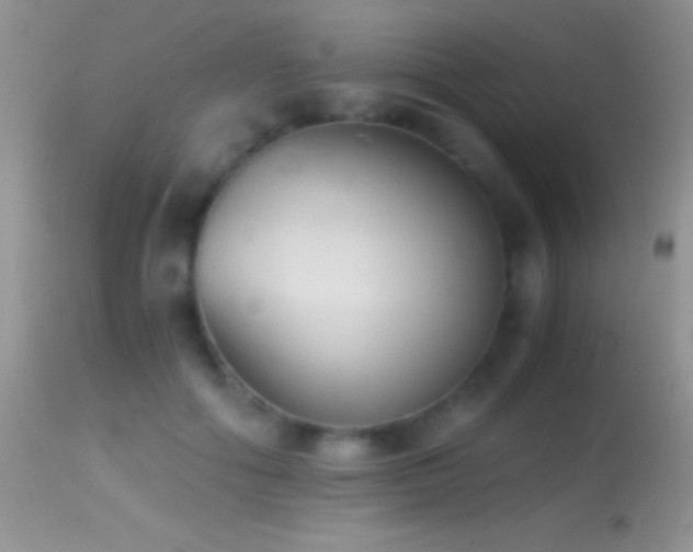 X0000114640602200910201444