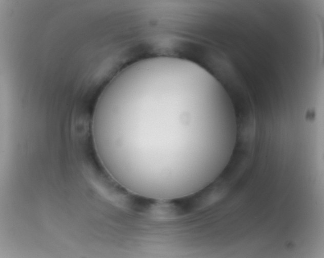 X0000114640603200910201444
