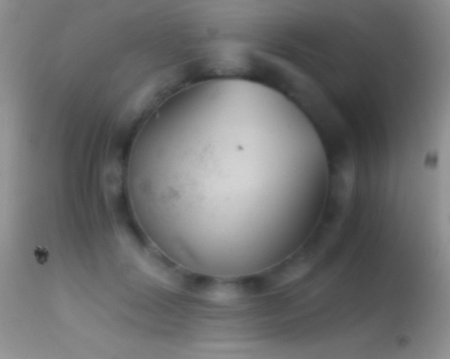 X0000114640604200910201444