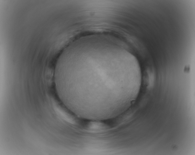 X0000114640605200910201444