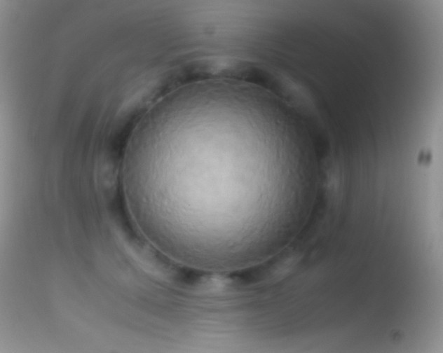X0000114640607200910201444
