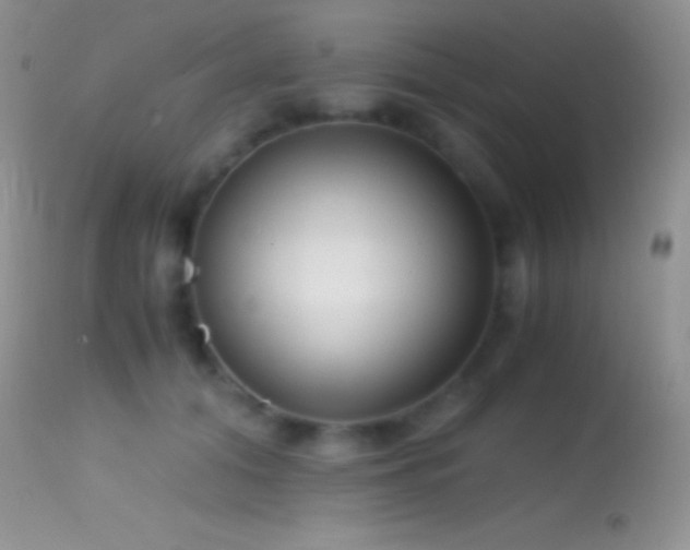 X0000114640608200910201444