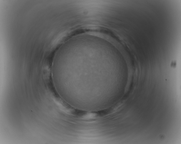 X0000114640609200910201444
