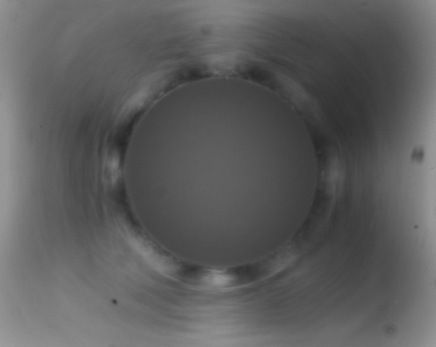 X0000114640610200910201444