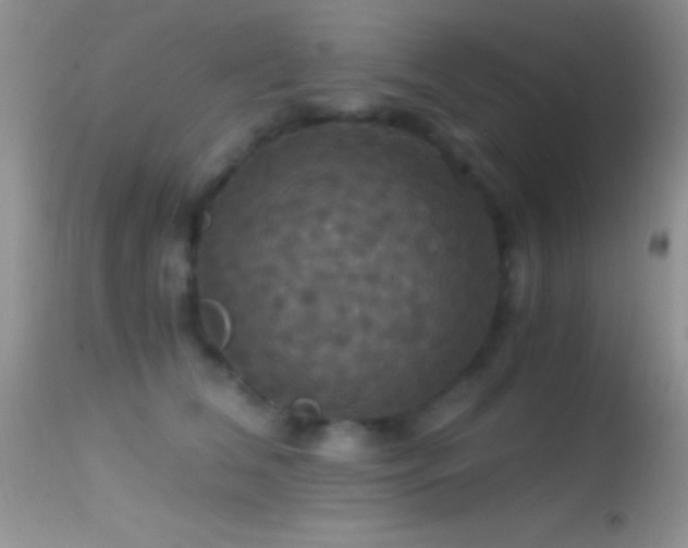 X0000114640612200910201444