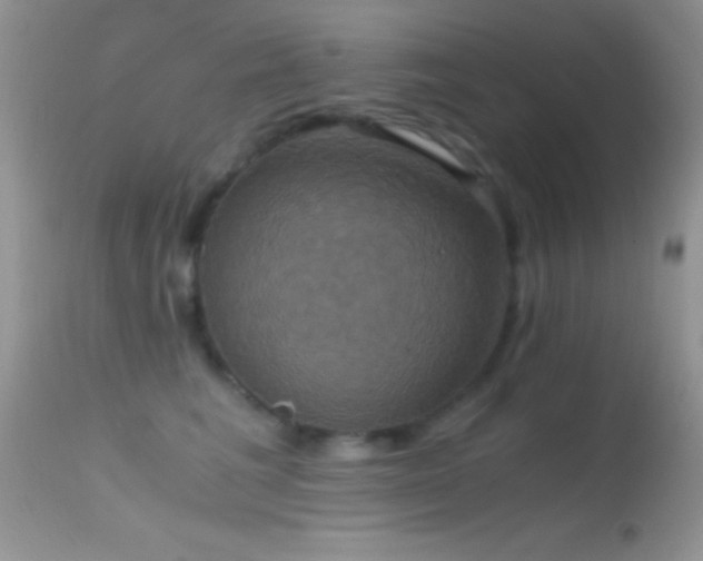 X0000114640613200910201444