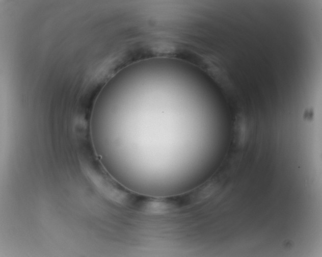 X0000114640614200910201444