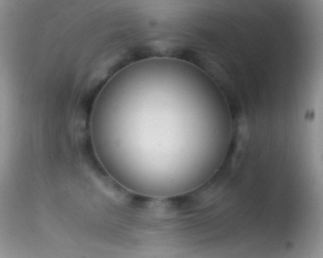 X0000114640615200910201444