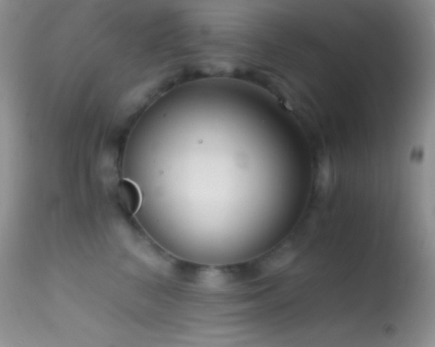 X0000114640616200910201444