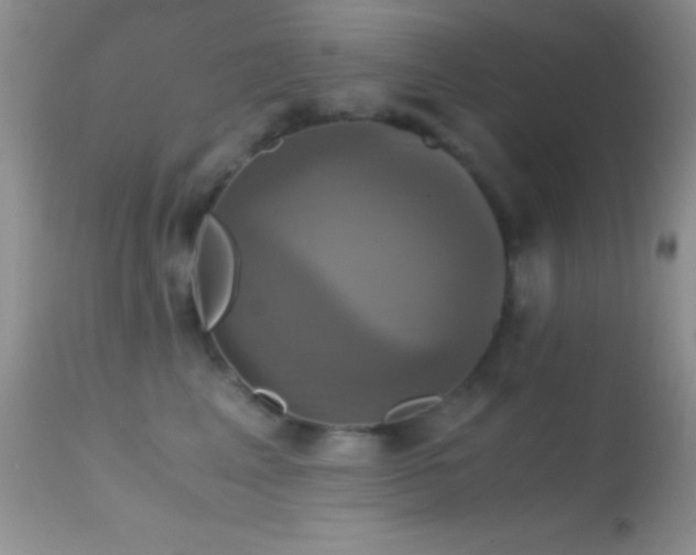 X0000114640617200910201444