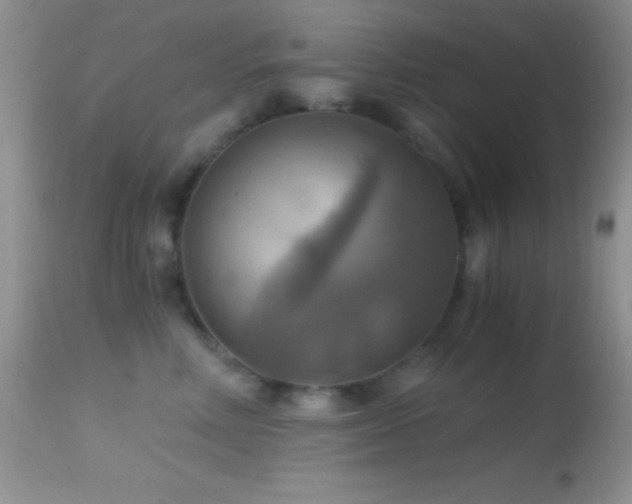 X0000114640618200910201444