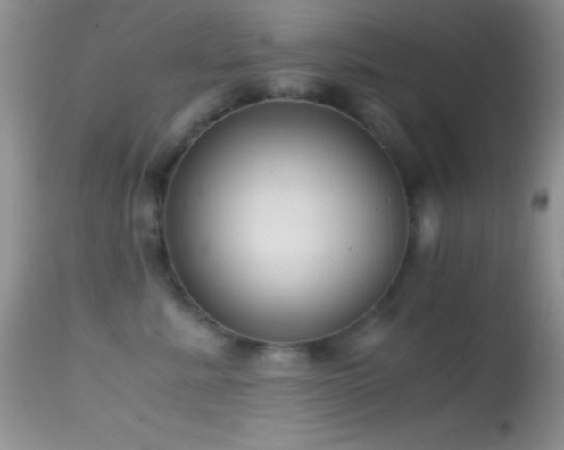 X0000114640619200910201444