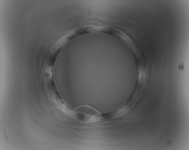 X0000114640621200910201444