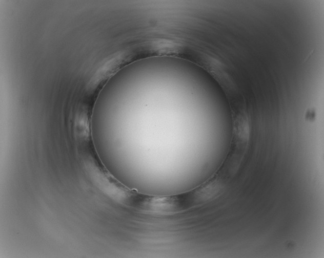 X0000114640622200910201444