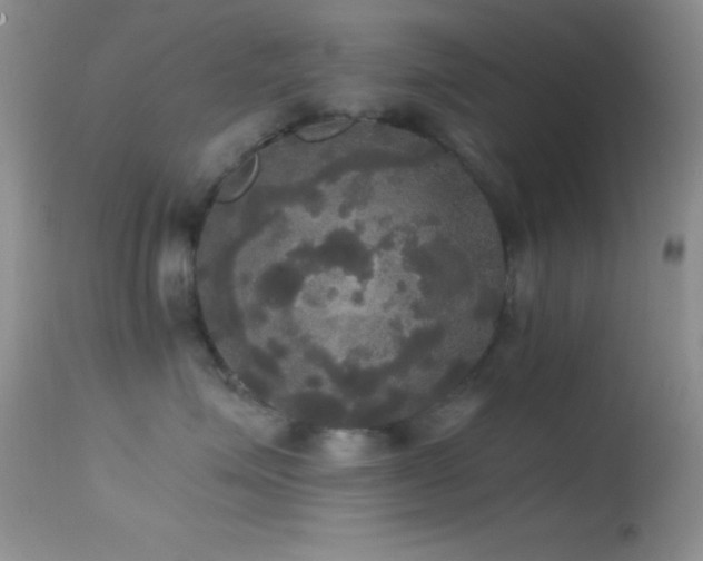 X0000114640623200910201444