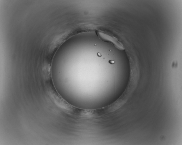 X0000114640624200910201444